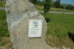 KODAK Digital Still Camera