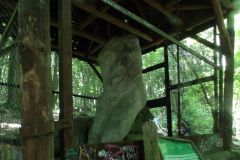 KODAK Digital Still Camera