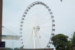 DSCF9031