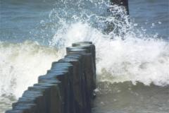 DSCF9099